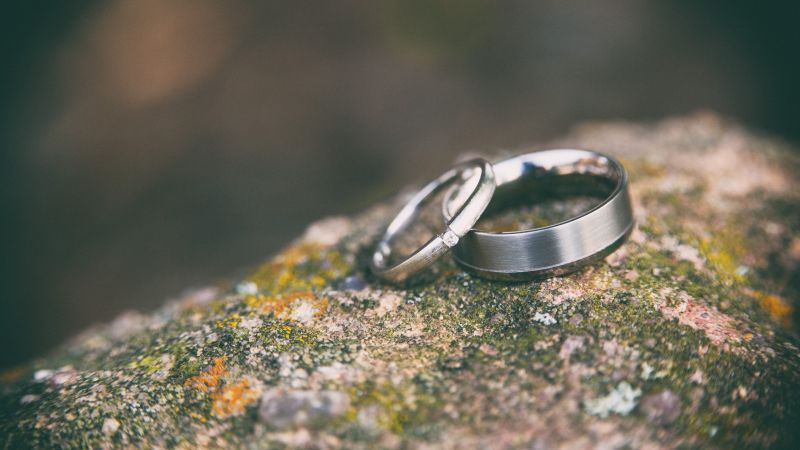Wedding rings for bride and groom on mossy ground - Live Wedding Band | wedding rings | live music band for wedding | band live wedding | wedding live band price | AKA Party Band