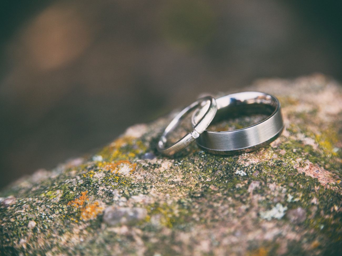 Wedding rings for bride and groom on mossy ground - Live Wedding Band | wedding rings | live music band for wedding | band live wedding | wedding live band price | AKA Party Band